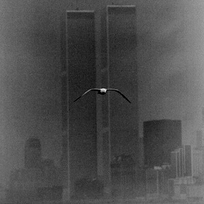 Rare And Captivating Historic Photos They Didn&#8217;t Show Us in Class