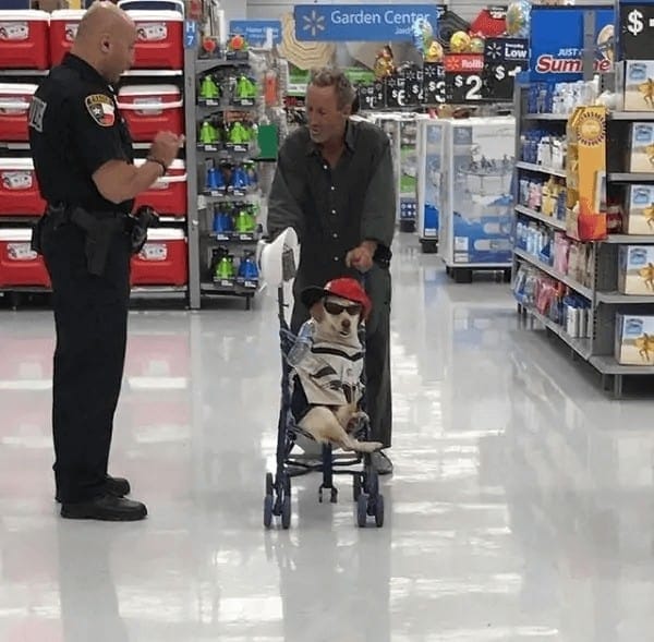 Excuse Me Sir, I Need To Ask You A Few Questions