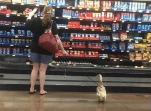 ​At Least She Put Him On A Leash