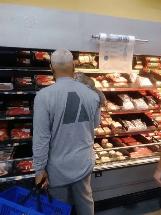 ​Some Nuts For The Squirrel