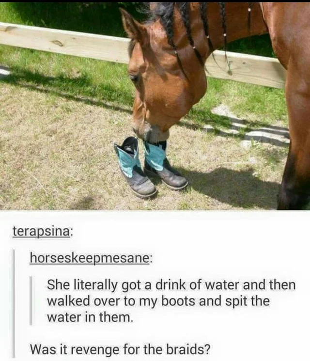 Petty Acts of Sweet Revenge That Bring Deep Satisfaction