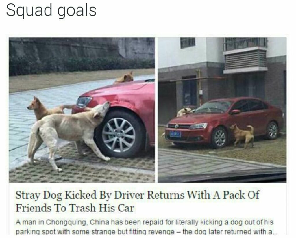 Petty Acts of Sweet Revenge That Bring Deep Satisfaction