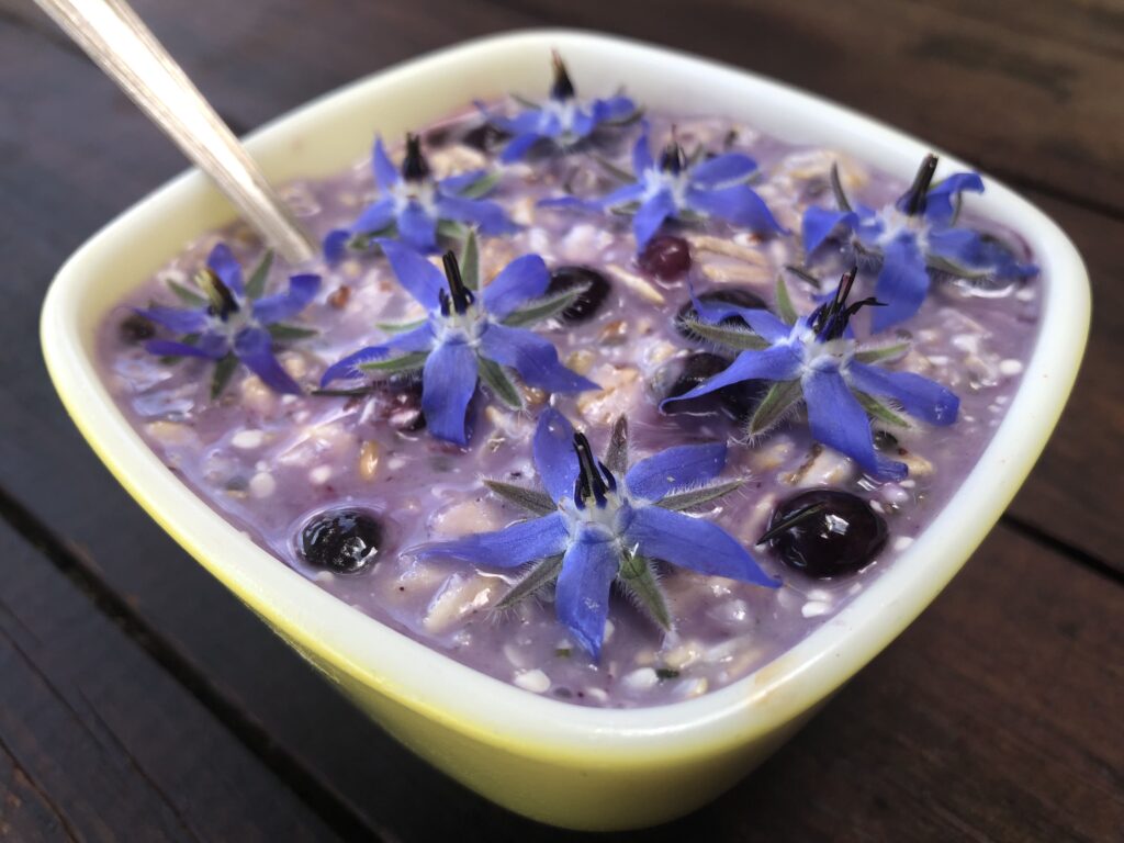 8bc44ce179d569c32538e8755b262832