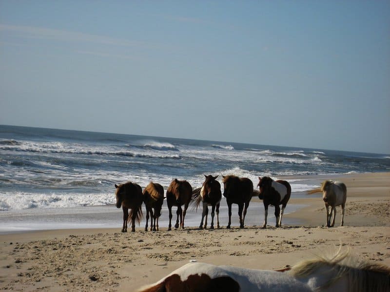 Ranking the 40 Most Beautiful Beaches in the USA: From Good to Absolutely Breathtaking