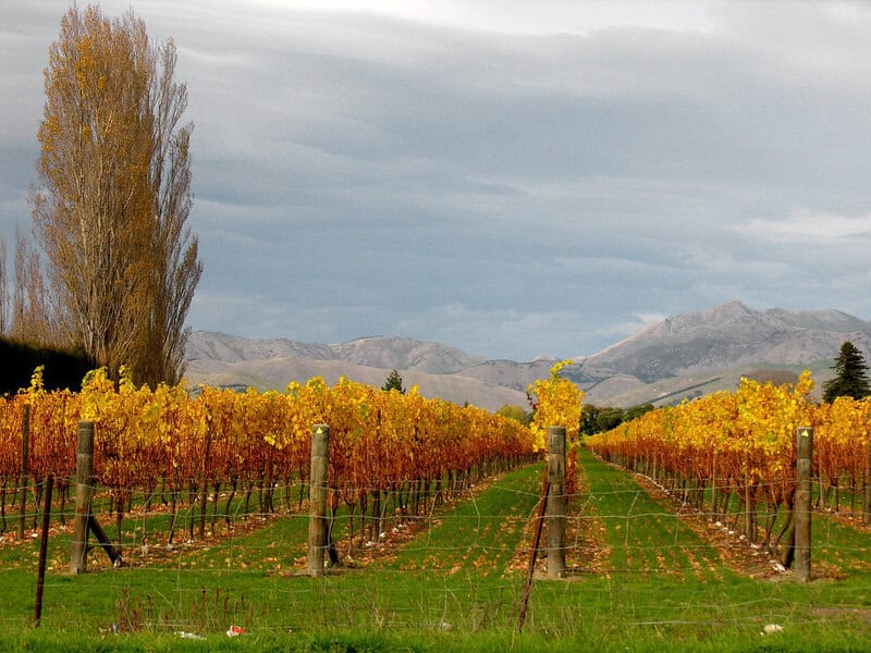 10. Marlborough, New Zealand