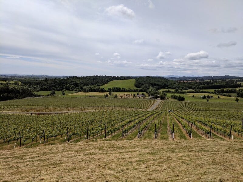 13. Willamette Valley, USA