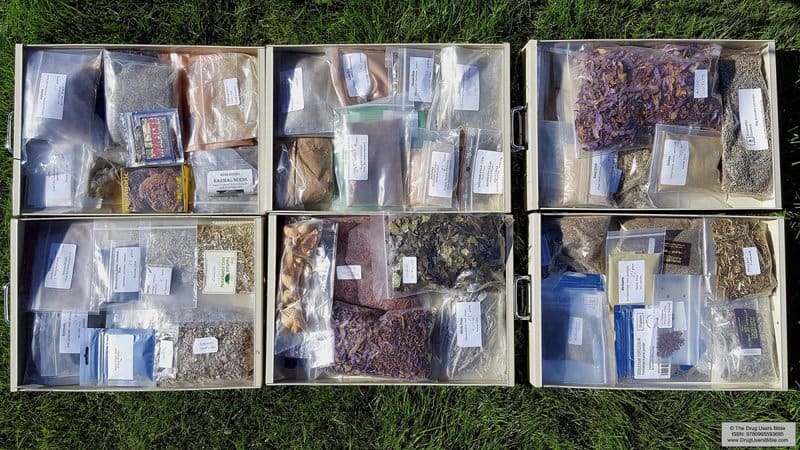 9. Nootropic Supplements