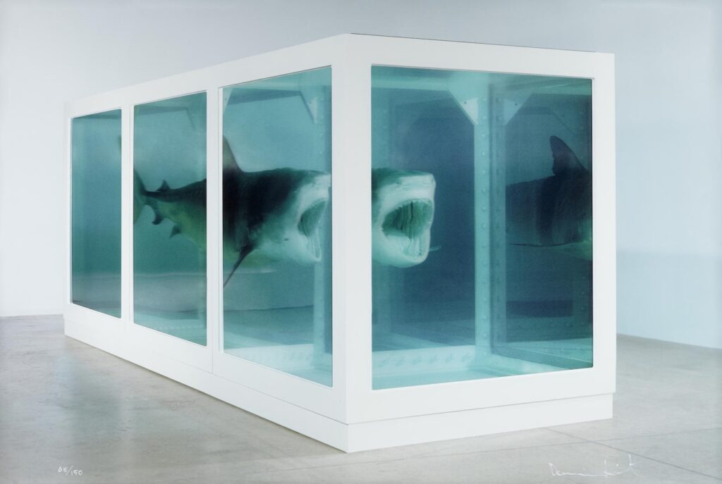 9695303c 3365 4126 9fce A3e33ef38369