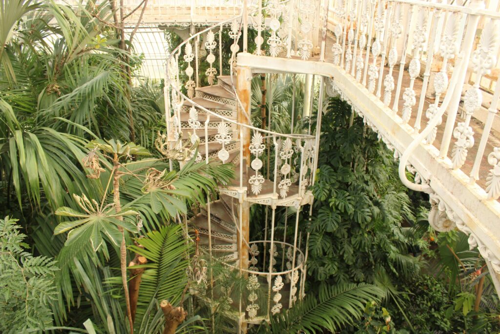 Debbie grap rikp9fzkbaw unsplash