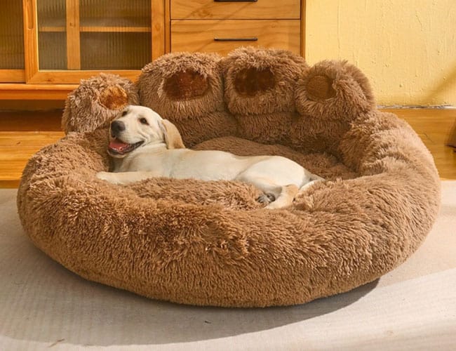12. Budget-Friendly Dog Beds for Cost-Conscious Owners