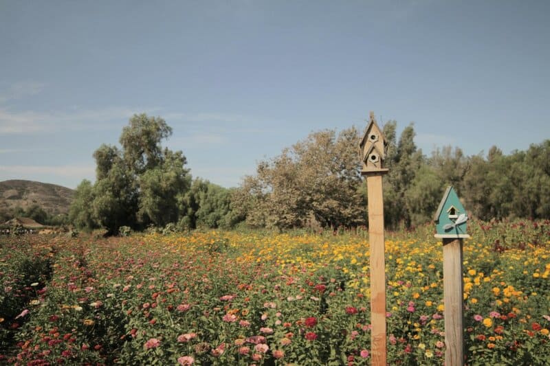 6. Artistic Birdhouses