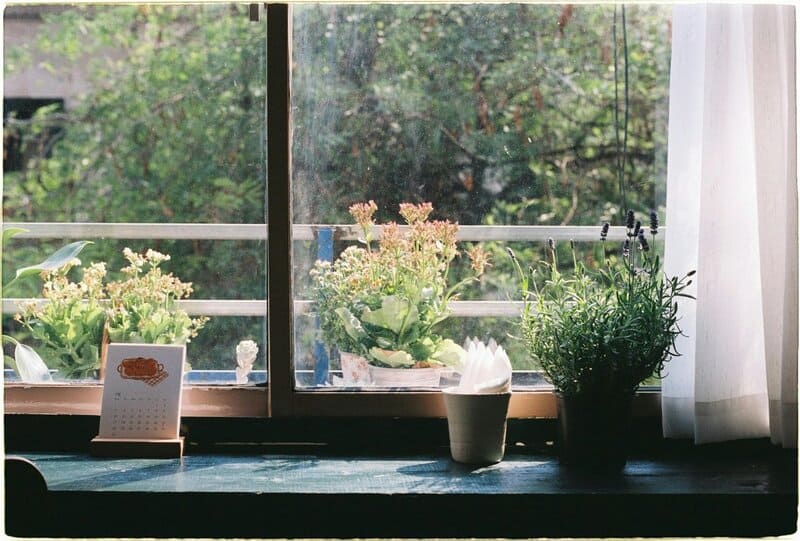 10. Window Sill Gardens