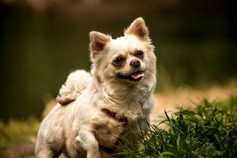 18. Seattle, Washington, USA