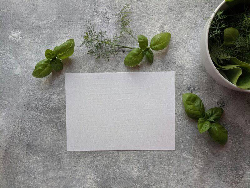 5. Kitchen Herb Gardens