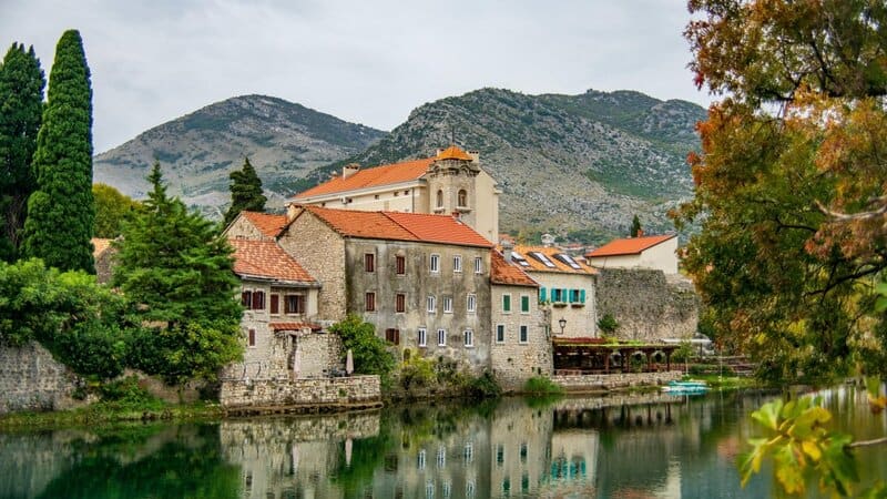 Regional Variations in Cat Naming