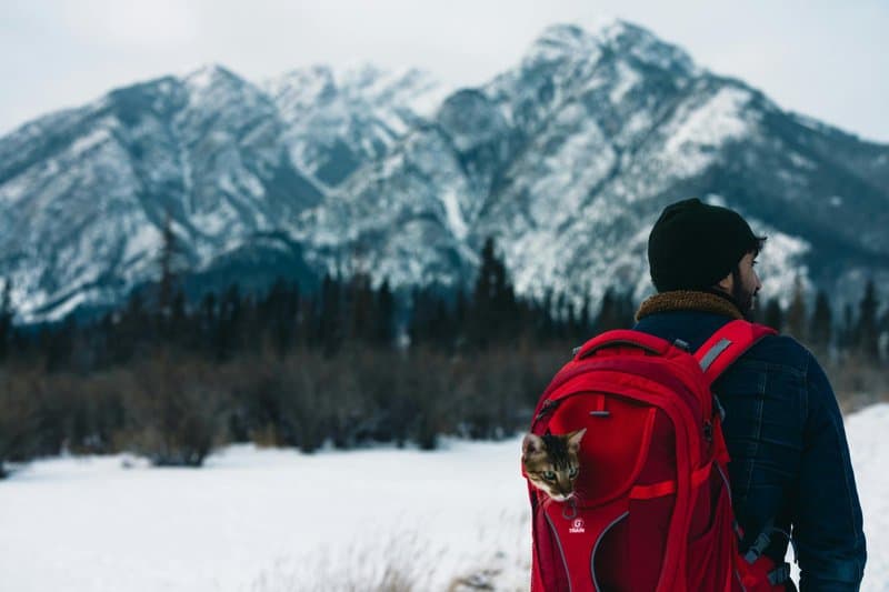 3. Lake Louise, Alberta, Canada