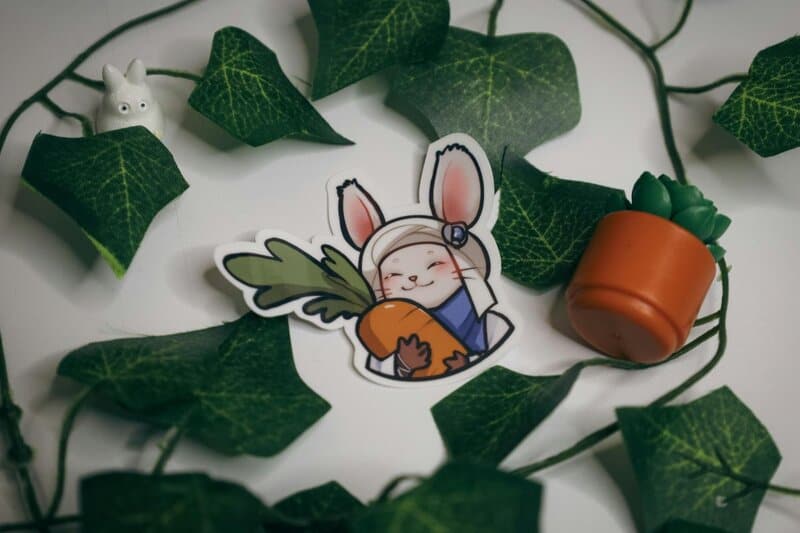 25. DIY Plant Projects