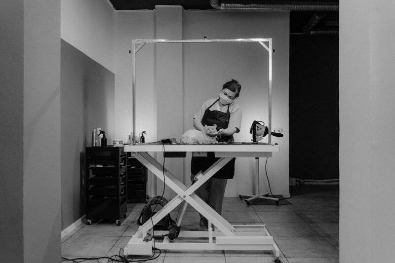 9. Regular Grooming Tools