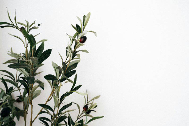 19. 'Minimalist' Designs