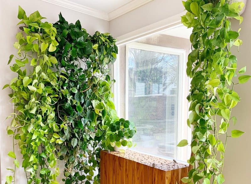 15. Plant Room Dividers