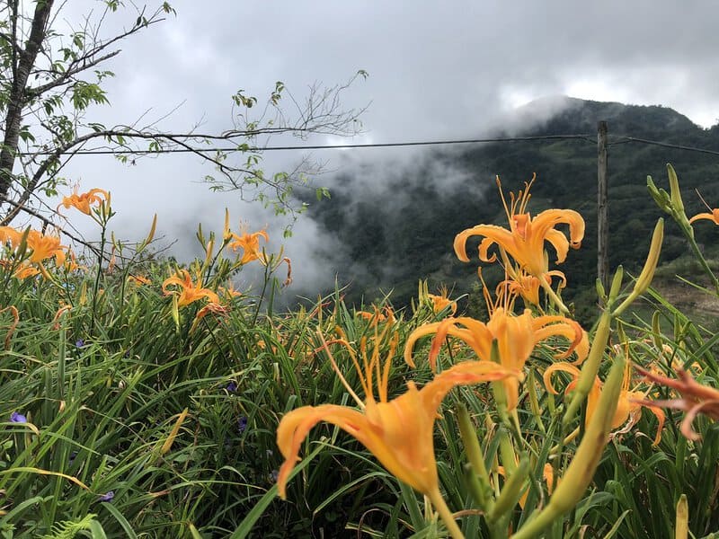 14. Practicing Forgiveness