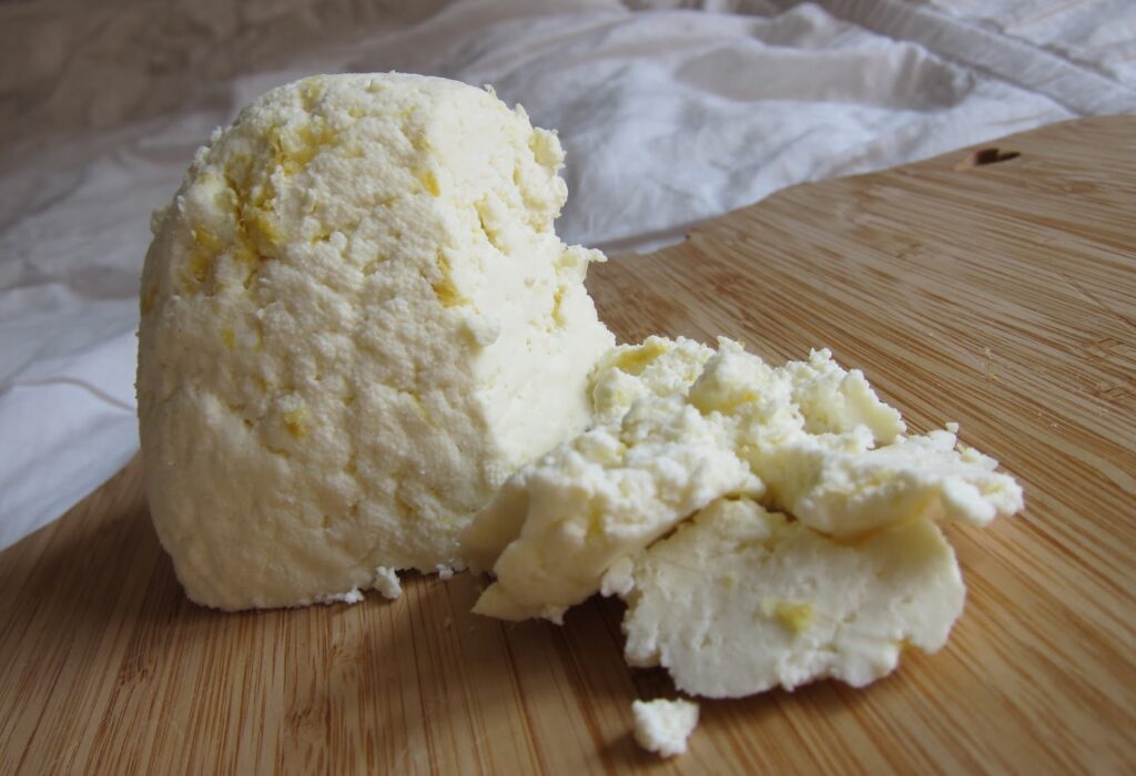 Can dogs eat cheese? Here are the types that are safe for your pet.