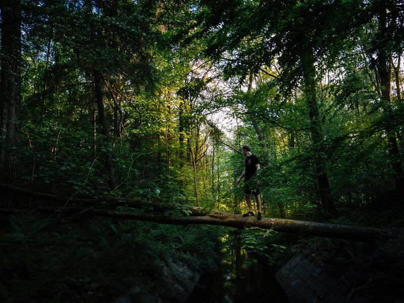 13. Exploring Nature Trails