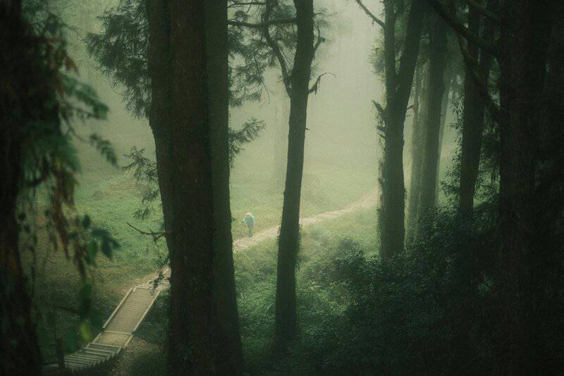 3. Nature Walks for Mental Clarity