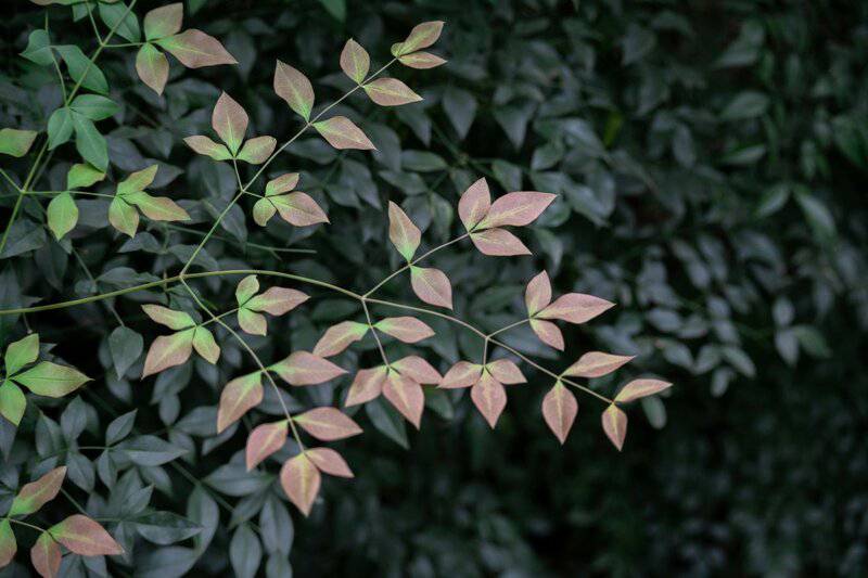 5. Growth Is Measured Over Time