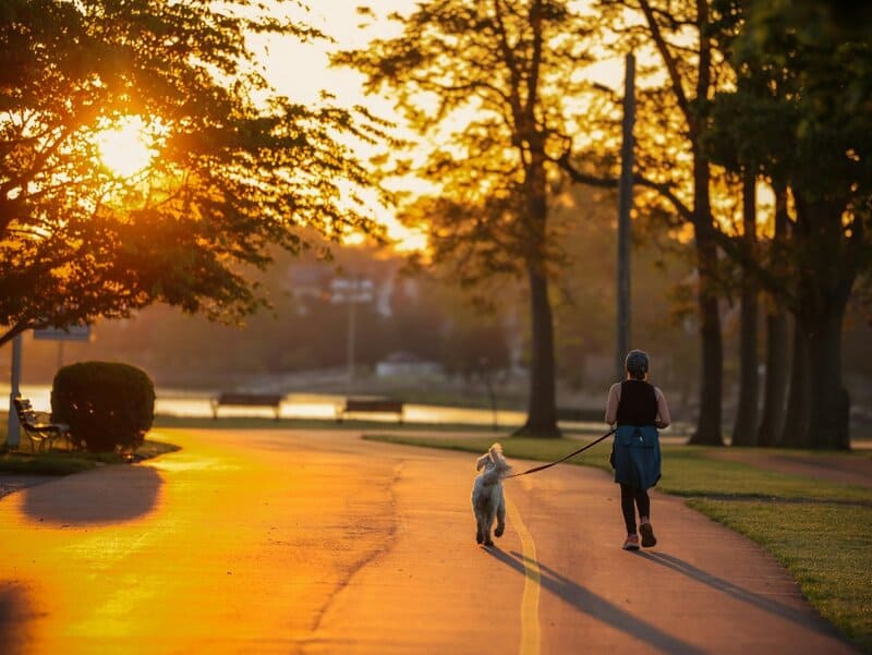 4. Boosts Mental Health