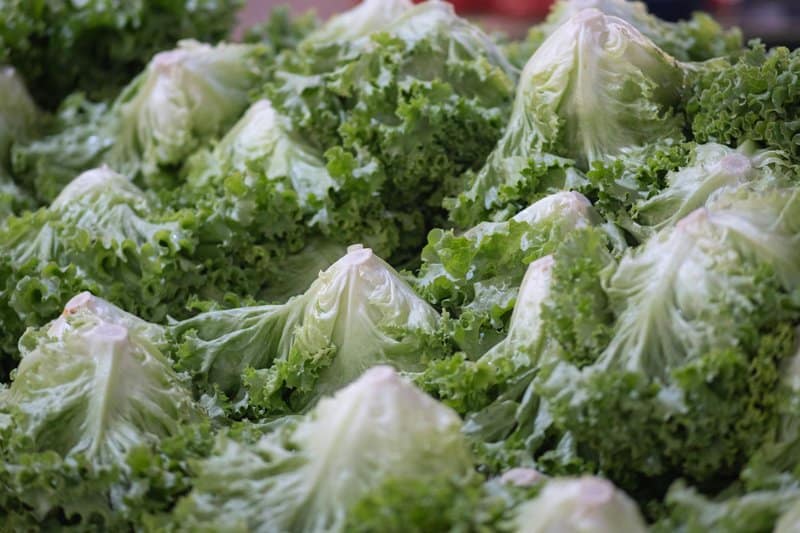 4. Watercress: Ancient Herb, Modern Revival