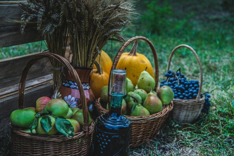 15. Apples and Pears in Fall