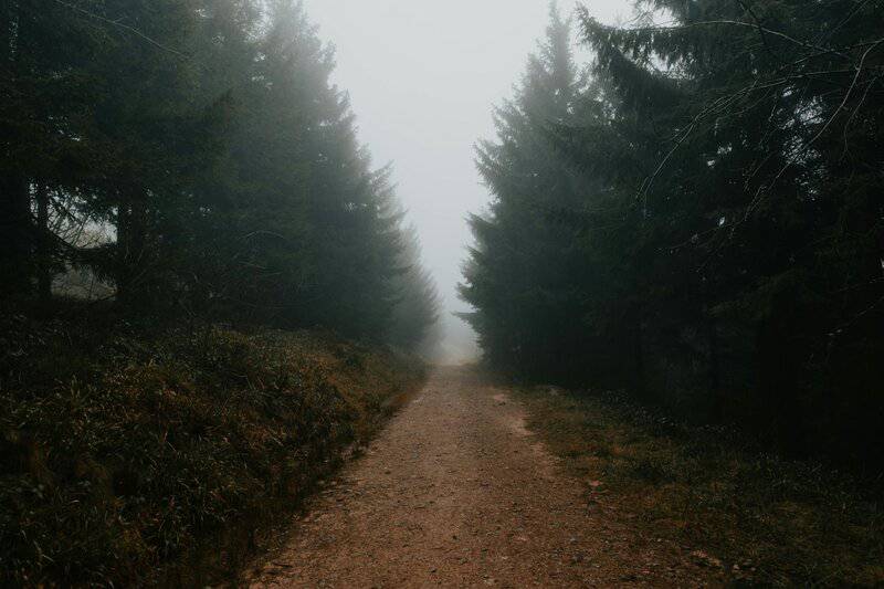 16. Prioritize Nature-Based Experiences