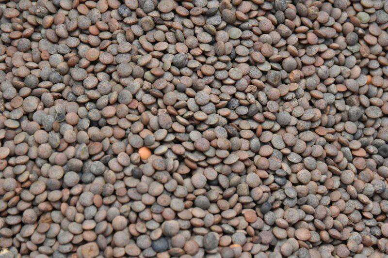 16. Beans & Lentils — Steady Energy