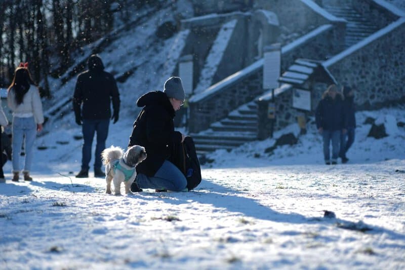 8. Doggie Sweater or Jacket