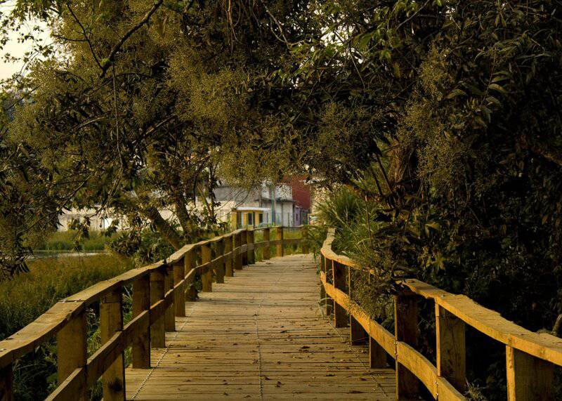 12. Get Inspired by Nature