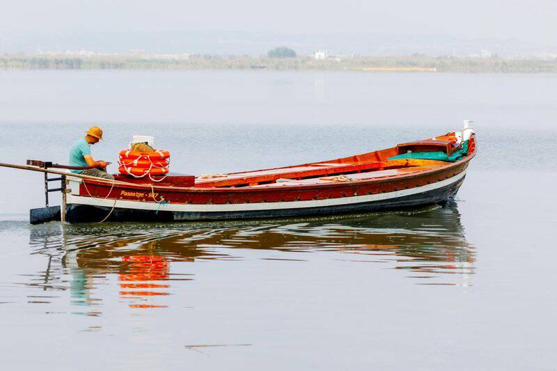 12. Safety Requires Vigilance and Trust