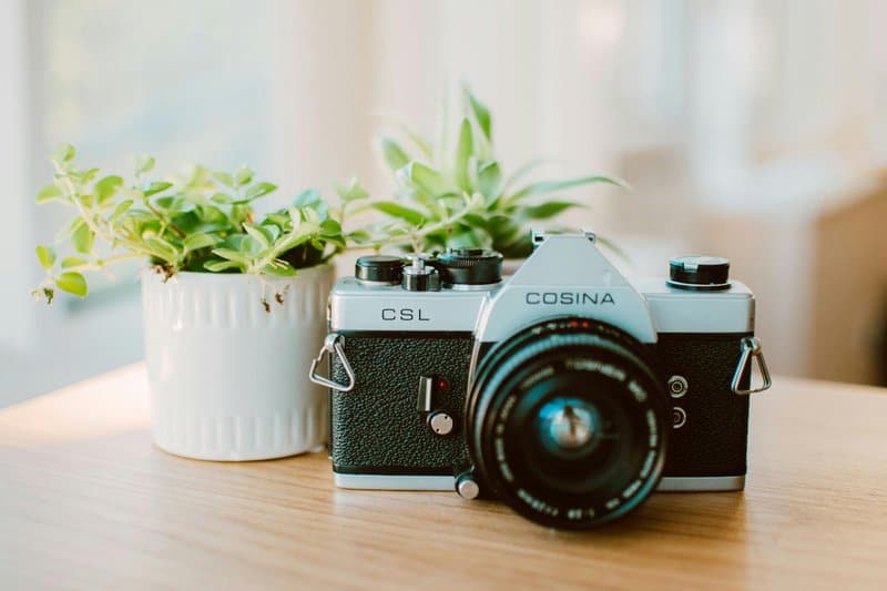 13. Add Greenery and Fresh Plants