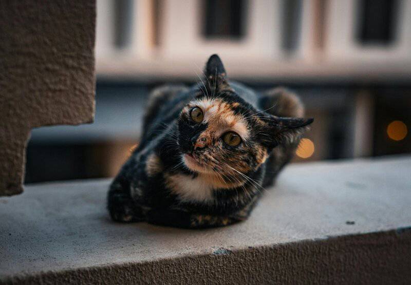 2. Plan for Downtime, Not Just Activities