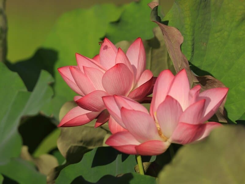 7. Practice Mindful Acceptance