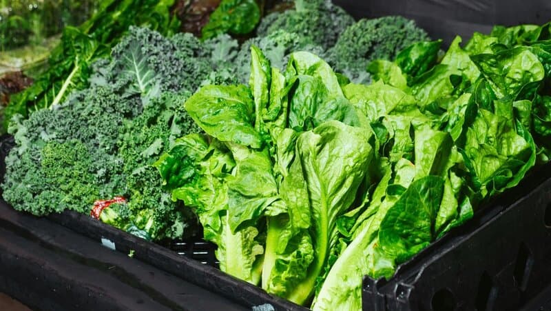 8. Leafy Greens — Fuel for Frazzled Nerves