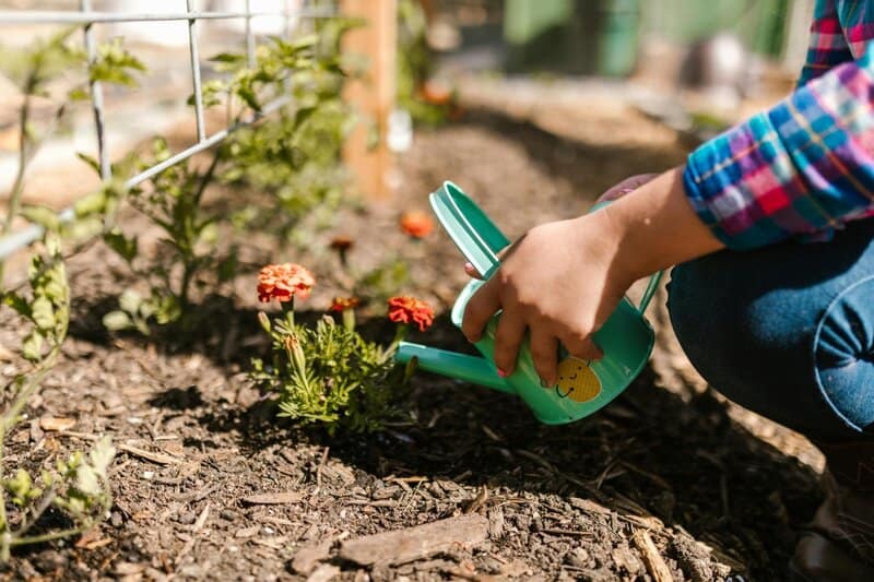 2. Gardening for Mindfulness