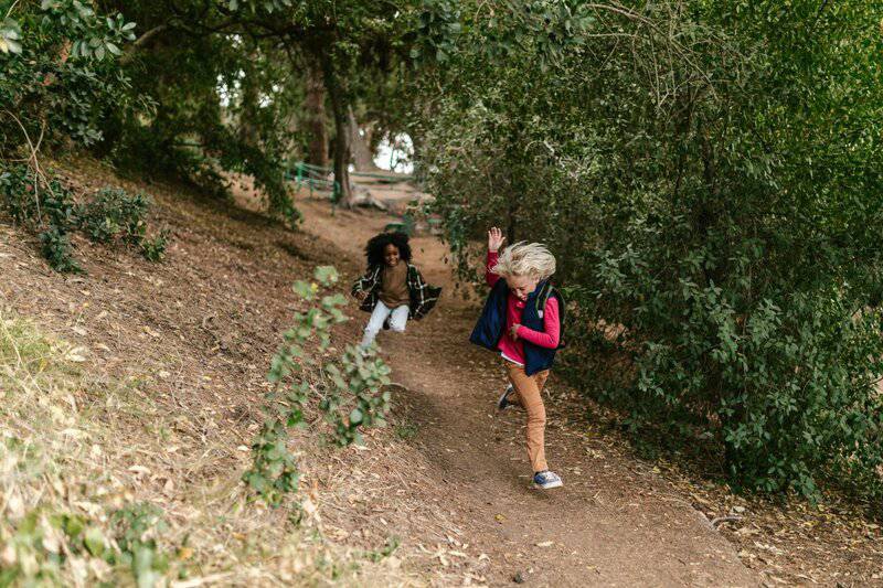 25. Trail Running for Endurance and Mood