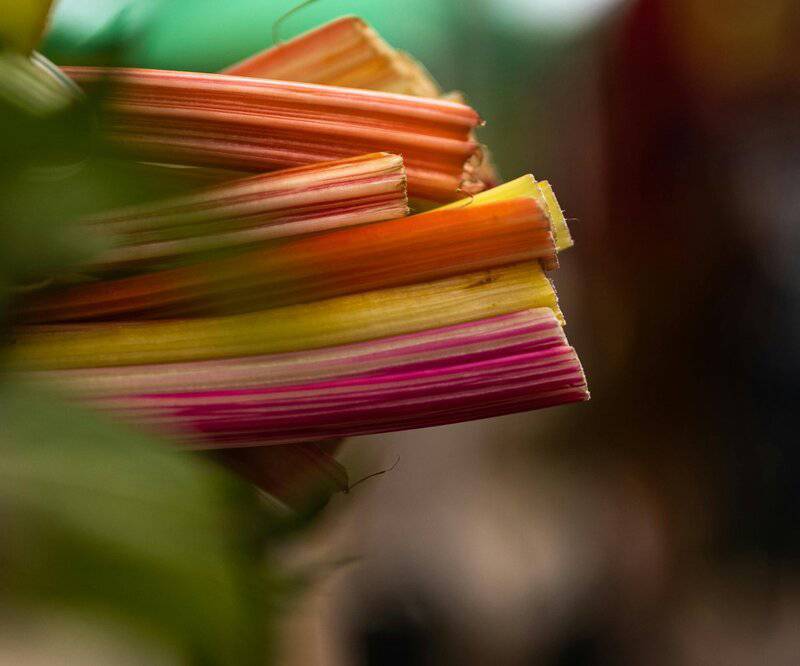 18. Dark Leafy Greens — Magnesium Magic