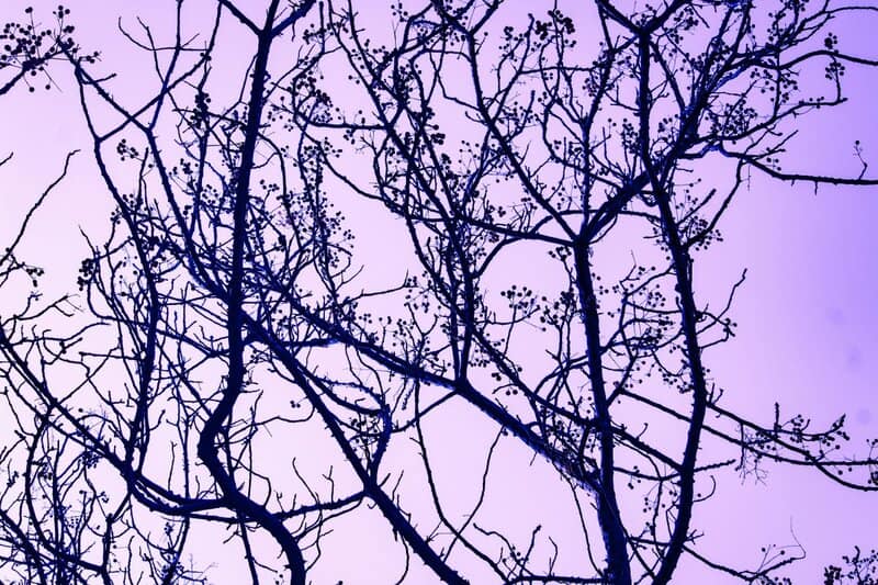 Avoiding Drama Preserves Peace