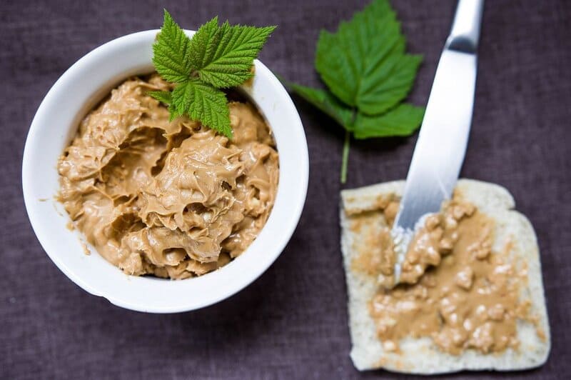 Can dogs eat cheese? Here are the types that are safe for your pet.