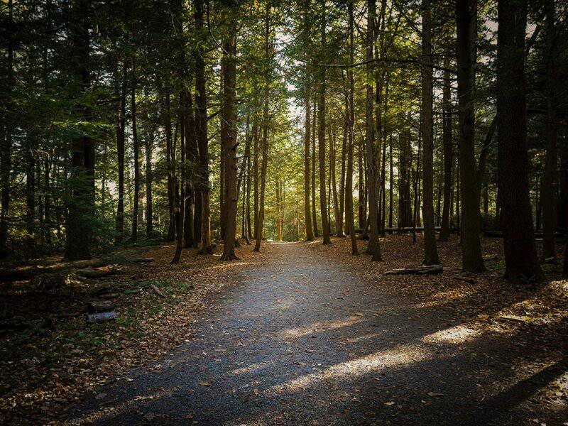 4. Take a 5-Minute Walk Outside