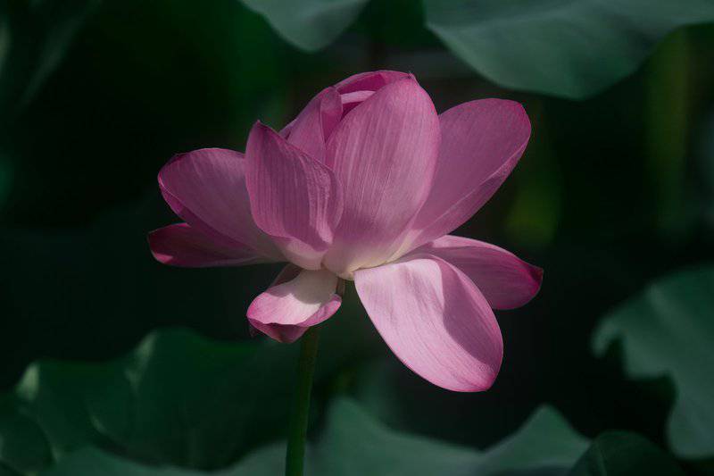 9. Growth Comes from Discomfort