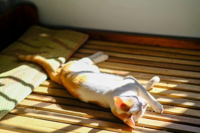 3. Guilt When Resting