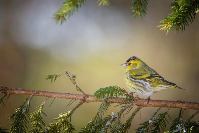 9. Spend Time in Nature